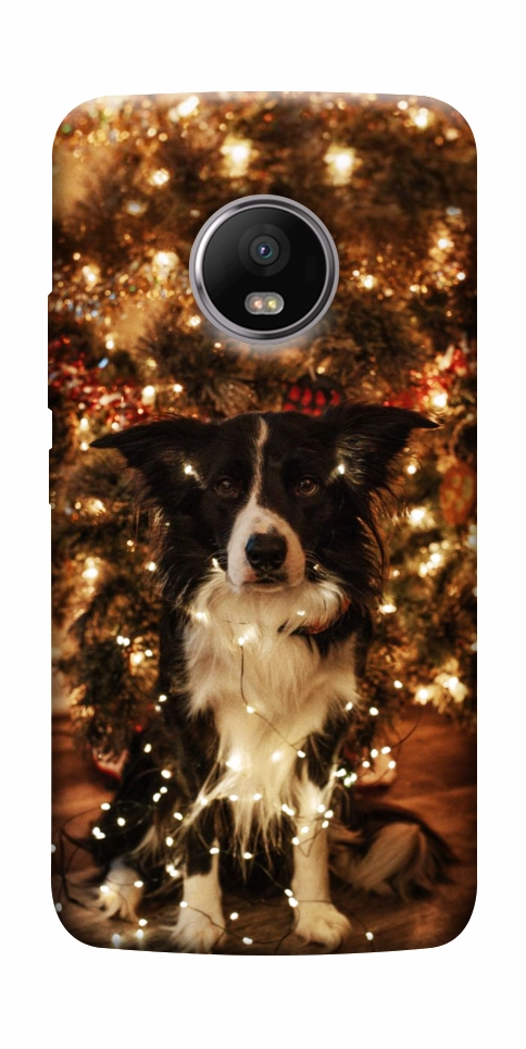 Чехол Christmas dog для Motorola Moto G5S