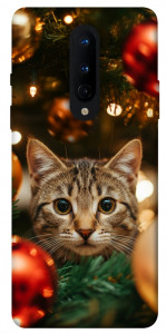 Чохол Christmas curiosity для OnePlus 8