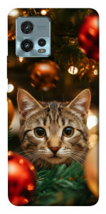 Чехол Christmas curiosity для Motorola Moto G72