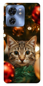 Чехол Christmas curiosity для Motorola Edge 40