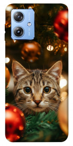 Чехол Christmas curiosity для Motorola Moto G84