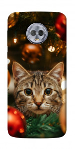 Чехол Christmas curiosity для Motorola Moto G6 Plus