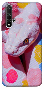 Чехол Colorful Python для Huawei Nova 5T