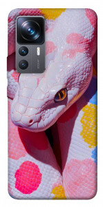 Чехол Colorful Python для Xiaomi 12T Pro