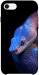 Чохол Cosmic snake для iPhone SE (2020)