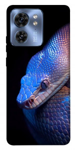 Чехол Cosmic snake для Motorola Edge 40