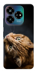 Чохол Рудий кіт для ZTE Nubia V60