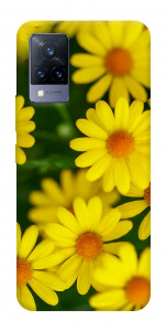 Чехол Yellow chamomiles для Vivo V21