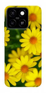 Чехол Yellow chamomiles для ZTE Blade A55 4G