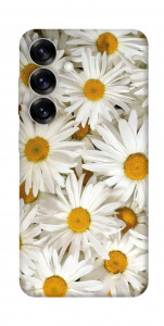 Чохол Chamomile для Galaxy S25