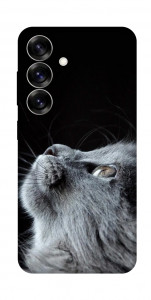 Чохол Cute cat для Galaxy S25