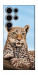 Чехол Proud leopard для Galaxy S25 Ultra