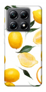 Чохол Lemons для Xiaomi 14T Pro