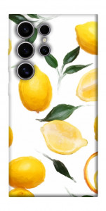 Чохол Lemons для Galaxy S25 Ultra