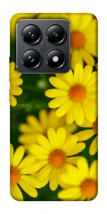 Чохол Yellow chamomiles для Xiaomi 14T Pro