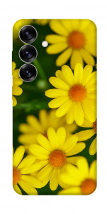 Чохол Yellow chamomiles для Galaxy S25