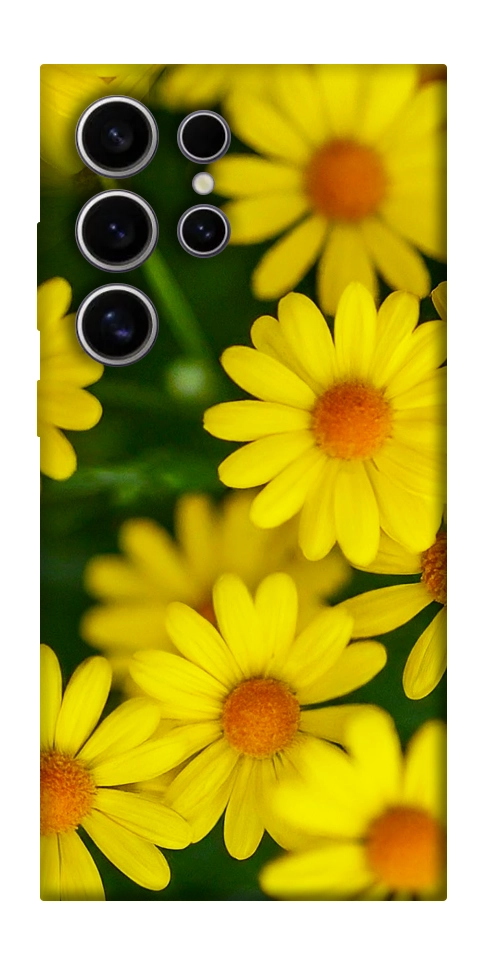 Чехол Yellow chamomiles для Galaxy S25 Ultra