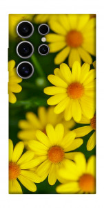 Чохол Yellow chamomiles для Galaxy S25 Ultra