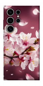 Чохол Sakura для Galaxy S25 Ultra