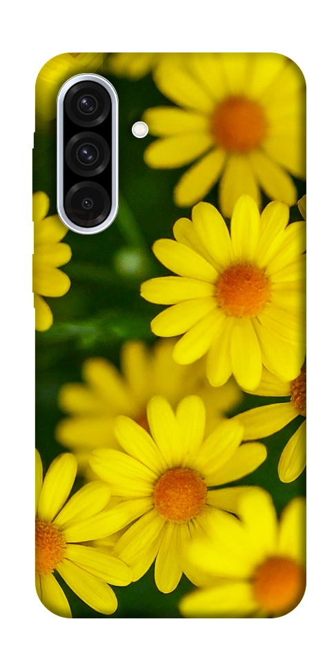 Чохол Yellow chamomiles для Galaxy A36 5G