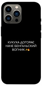 Чехол Вогник догорає для iPhone 12 Pro Max