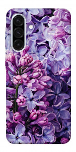 Чохол Violet blossoms для Galaxy A56 5G