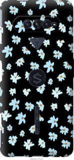

Чохол Квітковий на Xiaomi Black Shark 4 1273220