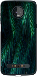 

Чехол Колоски для Moto Z3 Play 1580142