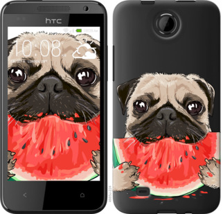 

Чохол Мопс і кавун на HTC Desire 300 843536