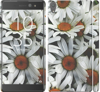 

Чехол Ромашки v2 для Sony Xperia XA Ultra Dual F3212 127257