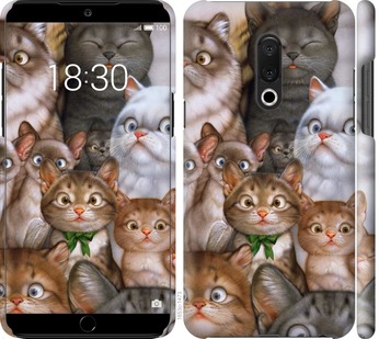 

Чохол коти на Meizu 15 Plus 757683