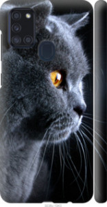 Чехол Красивый кот для Samsung Galaxy A21s A217F