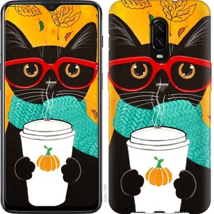 

Чохол Осінній кіт на OnePlus 6T 689817