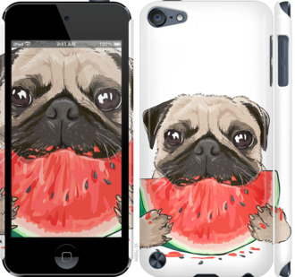 

Чохол Мопс і кавун на iPod Touch 5 843378