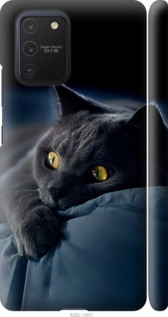 Чехол Дымчатый кот для Samsung Galaxy S10 Lite 2020