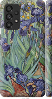 

Чехол Винсент Ван Гог. Ирисы для Samsung Galaxy A33 5G A336B 1576165