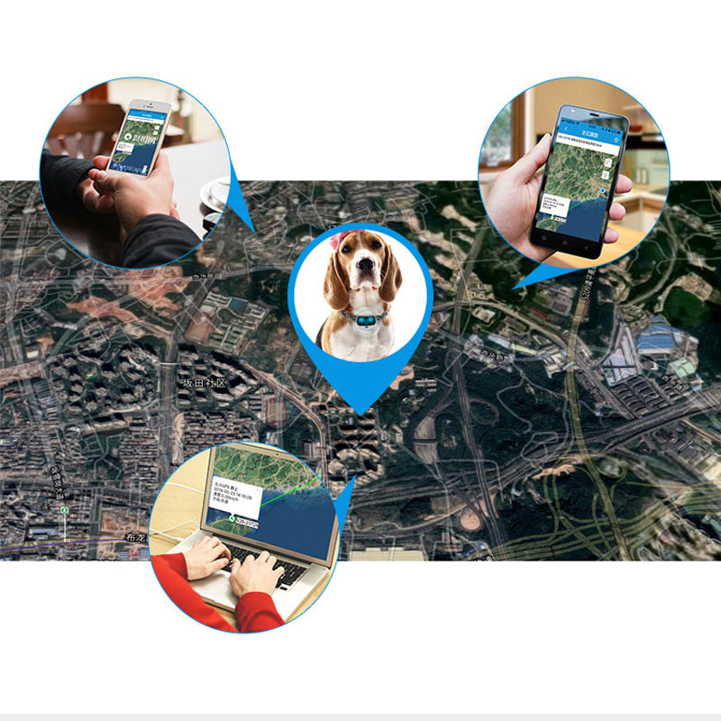Фото Трекер GPS для животных V43 Pet Tracker SIM (4GLTE+3GWCDMA+2GGSM) 500mAh (Black) в магазине vchehle.ua