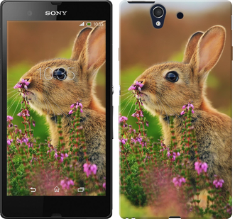 

Чохол Кролик і квіти на Sony Xperia Z C6602 150015