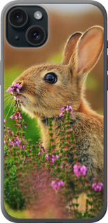 

Чехол Кролик и цветы для iPhone 15 Plus 1696185
