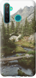

Чохол Природа на Realme 5 Pro 949326