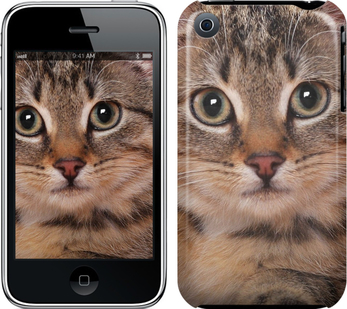 

Чехол Полосатый котик для iPhone 3Gs 175489
