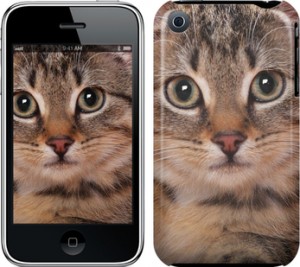 Чехол Полосатый котик для iPhone 3Gs
