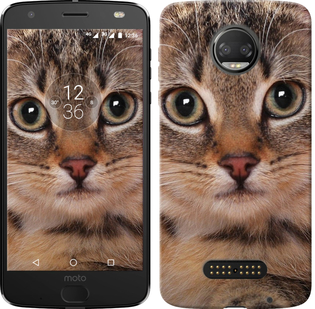 

Чохол Смугастий котик на Motorola Moto Z3 Play 675840