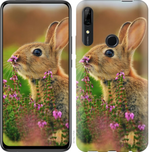

Чохол Кролик і квіти на Vivo Z5X 781405