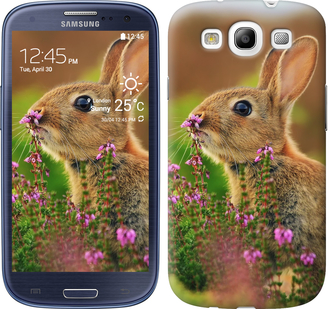 

Чохол Кролик і квіти на Samsung Galaxy S3 Duos I9300i 304701