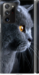 Чохол Гарний кіт на Samsung Galaxy Note 20 Ultra