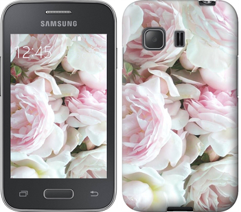 

Чохол Півонії v2 на Samsung Galaxy Young 2 G130h 632176