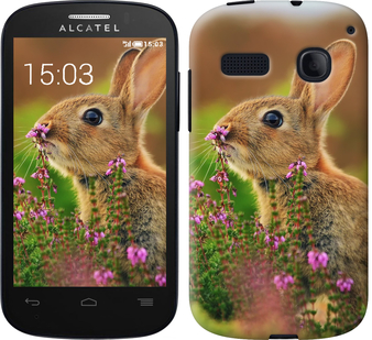 

Чехол Кролик и цветы для Alcatel One Touch Pop C3 4033D 304866