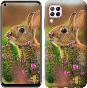 

Чохол Кролик і квіти на Huawei P40 Lite 921798