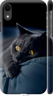 Чохол Димчастий кіт на iPhone XR